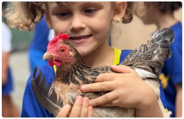Criança segurando uma galinha com cuidado no galinheiro da escola